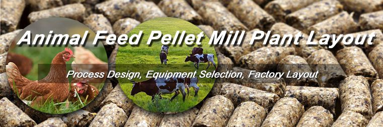 Project Plan for Feed Pellet Mill Plant Layout