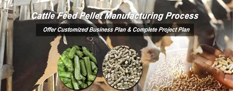 Best Cattle and Cow Feed Pellet Making Machinery Process 