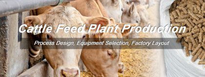 Animal Cattle Feed Plant Start Cost