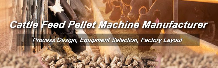 Cattle feed pellet mill