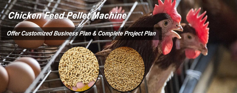 Chicken Feed Pellet Machine for Layers at Factory Price