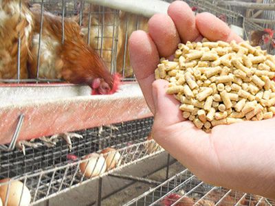 chicken feed pellet machine