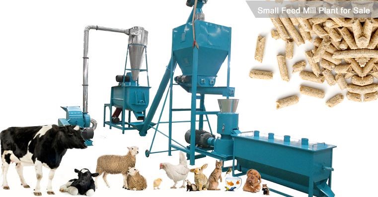 Cow Feed Pellet Manufacturing Plant