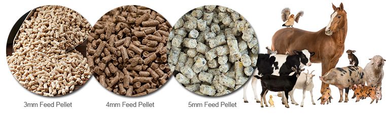 Feed pellet mill for different animals