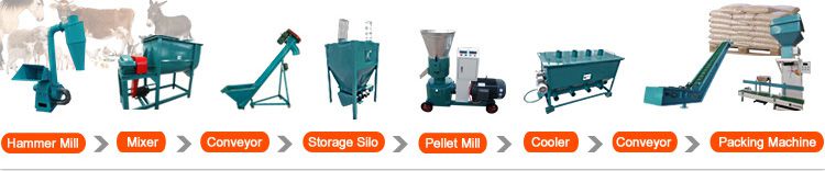 fish feed pellets making process