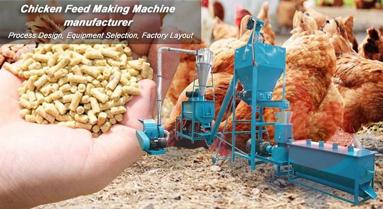 How to Make Best Chicken Feed Pellet at Home 丨Machinery Selection & Technology