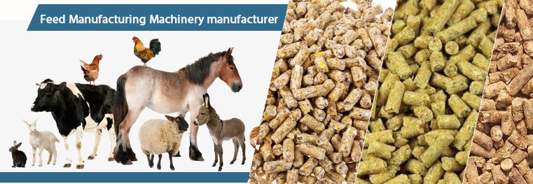 Livestock Poultry and Fish Feed Pellet Product