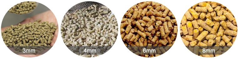 Make Feed Pellets of Different Sizes