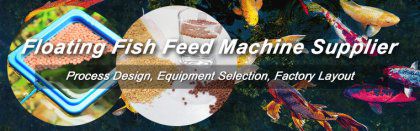 How to Choose Right Floating Fish Feed Machine?