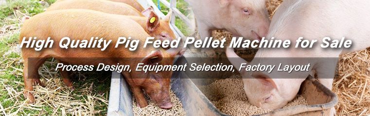 Pig Feed Pellet Machine to Make Nutrition-Balanced Feed Pellets