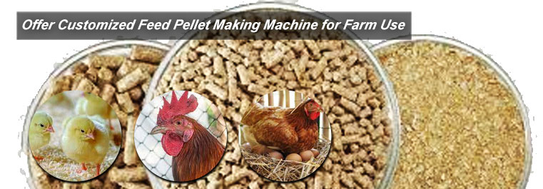 Making Chicken Feed Pellets for Farm Use