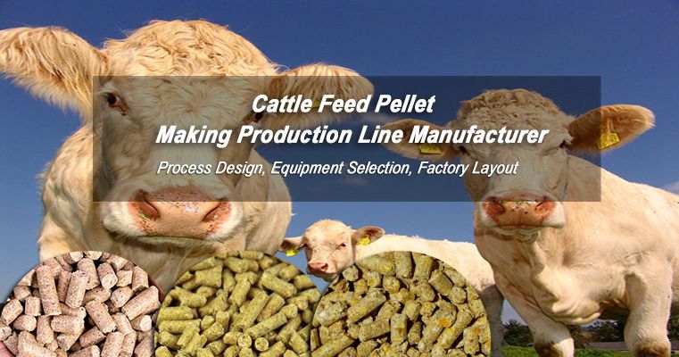 Set Up Cattle Feed Pellet Production Plants