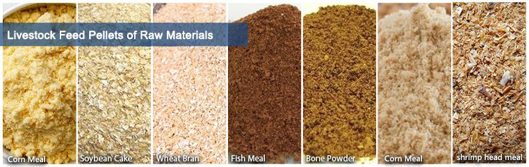 Various Raw Materials for Feed Pellet