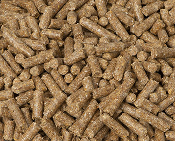 cattle feed pellets