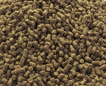 fish feed pellets sinking type