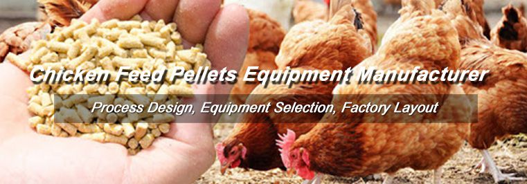 Chicken Feed Pellets