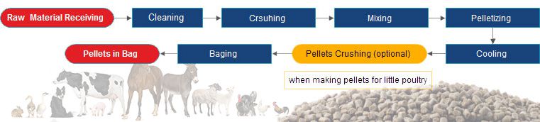 animal feed pellet production process