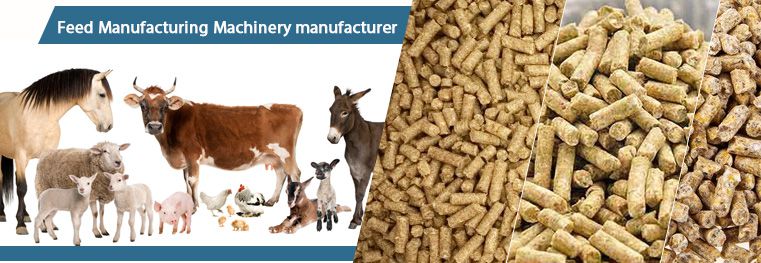 Feed Pellets Required for Different Types of Animals