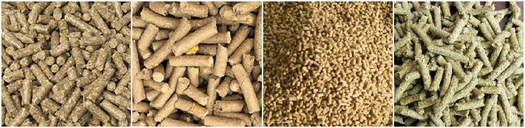 animal feed pellets