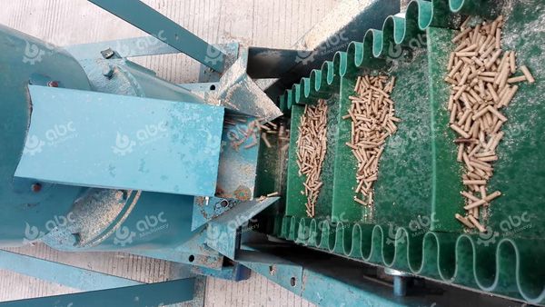 belt conveyor of STLP300 feed pellet plant