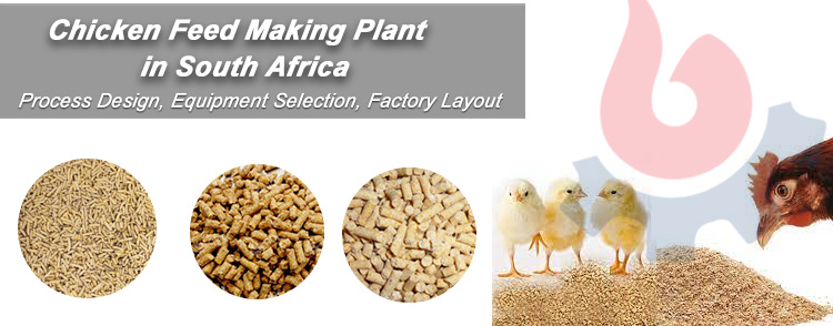 Buying Best Chicken Feed Pellet Making Machine Manufaccture