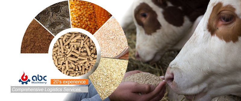 Low Cost Cattle Feed Formula - Local Ingredients Substitution Guide