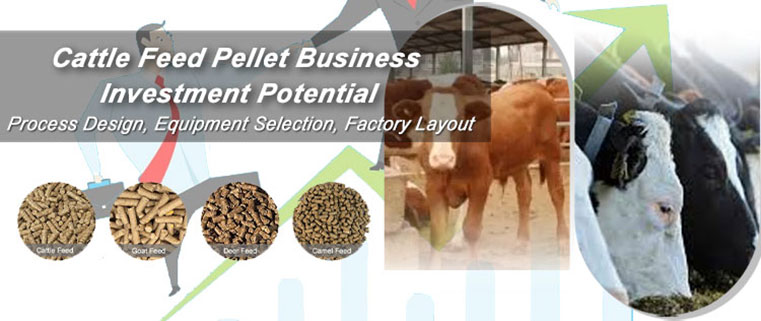 Cattle Feed Pellet Production Business Investment Potential