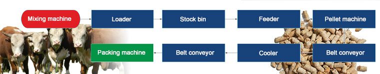 Cattle Feed Pellet Production Process