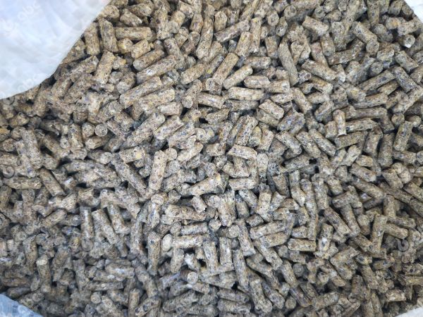 cattle feed pellets made from sunflower seed oil meal