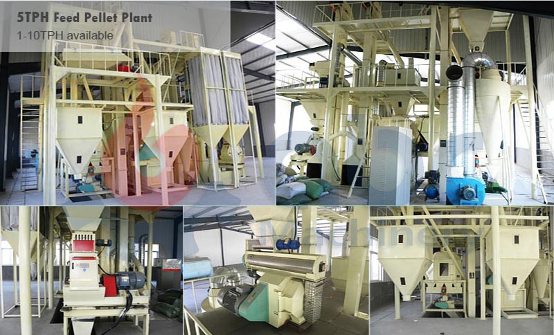 Commercial Alfalfa-Based Cattle Feed Pellet Projects - Successful