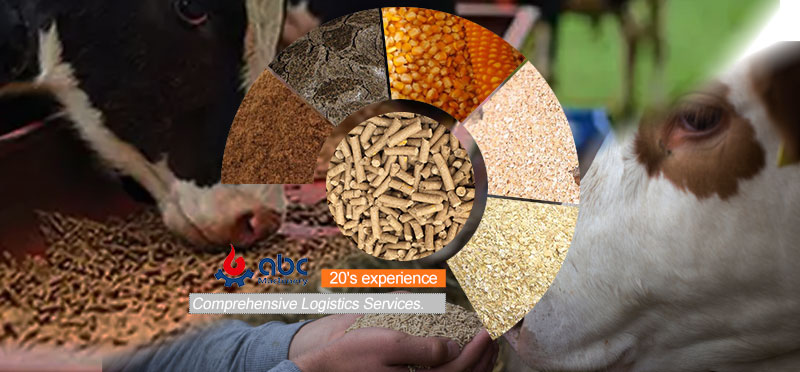 Nutrient Needs of Calves, Dairy Cows & Beef Fattening Cattle - Energy/Protein/Fiber