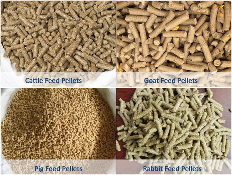 cattle sheep pig rabbit feed pellets