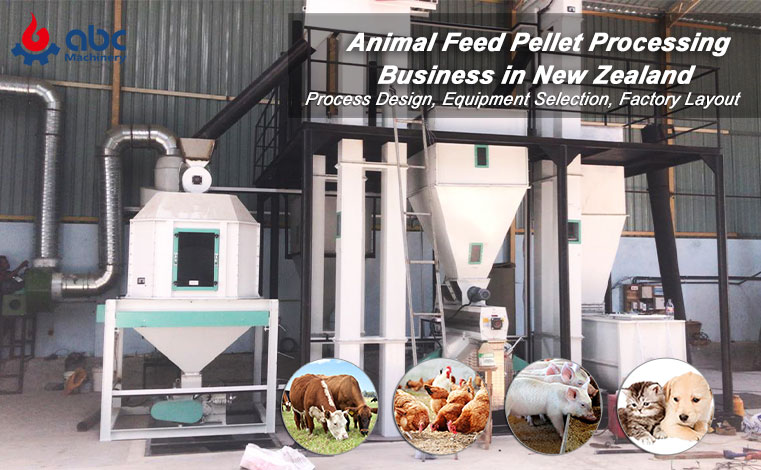 2-3 Ton Per Hour Chicken Feed Pellets Business Plan for Commercial Purpose