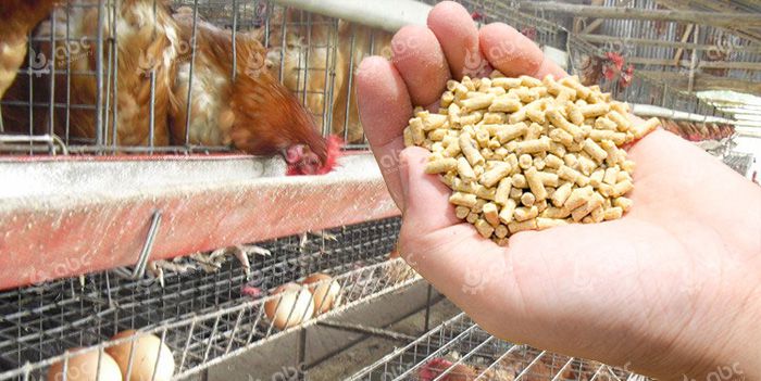 chicken feed pellets