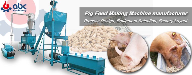 Construction of Pig Feed Pellet Factory