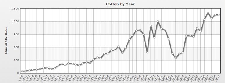 Cotton Seed Production in Mali