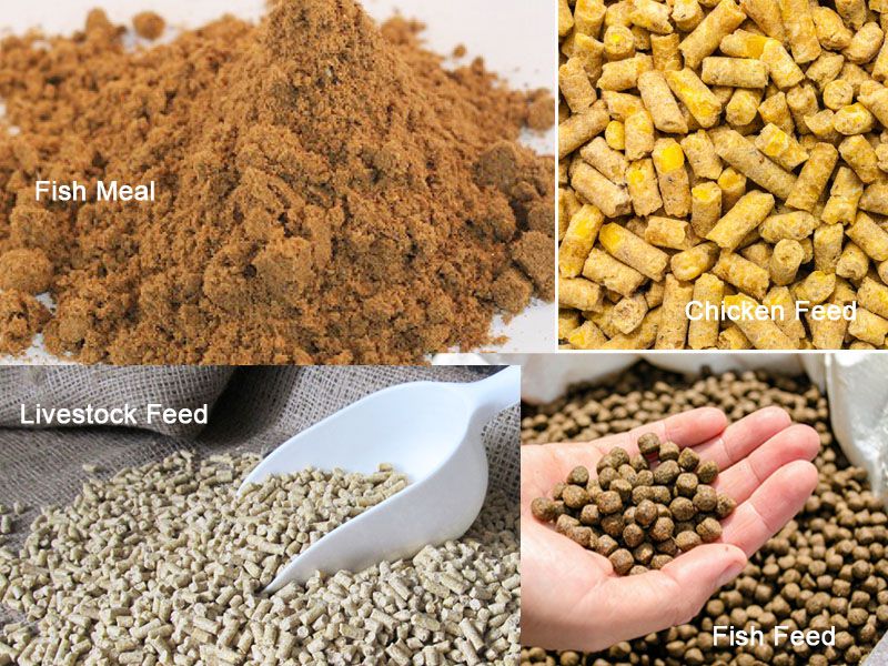 fish meal for making poultry livestock fish feed