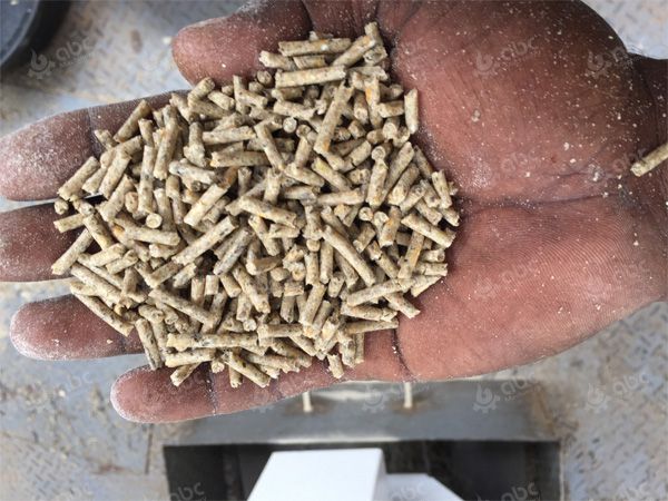 Good quality feed pellets: Does it make sense? - All About Feed