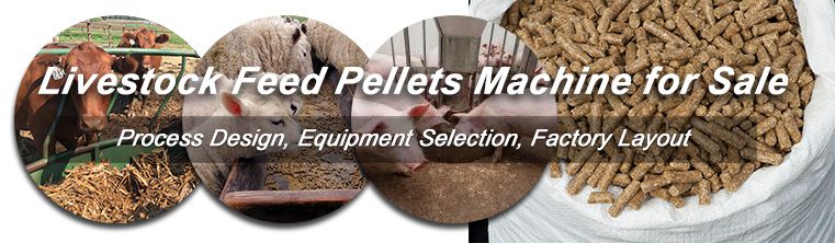 Livestock Feed Pellets Processing Technology & Equipment – Buy High Quality  Livestock Feed Pellet Machine for Feed Pellet Making