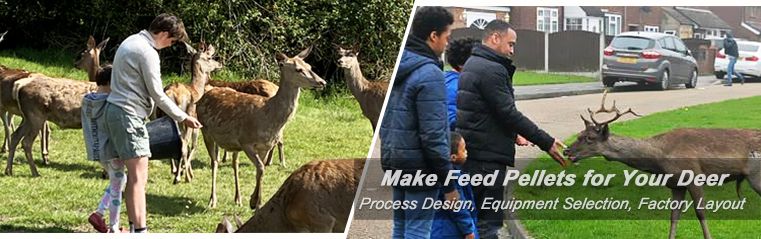 Make Deer Feed Pellets With Feed Pellet Mill