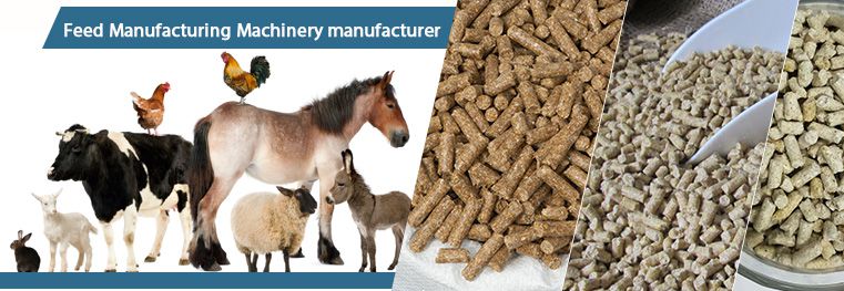 Make Feed Pellets for Animals