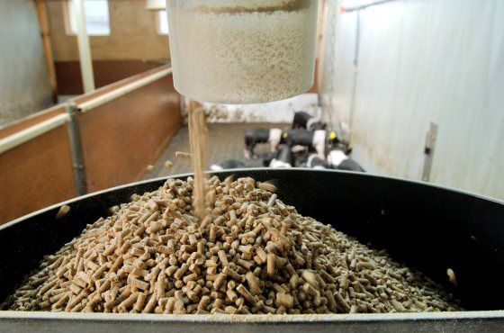 make your own feed pellets