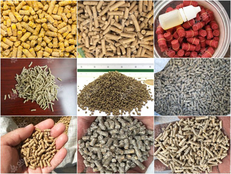 many kinds of feed pellets