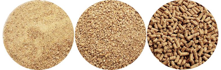 Mash Feed, Crumbled Feed, Pellet Feed