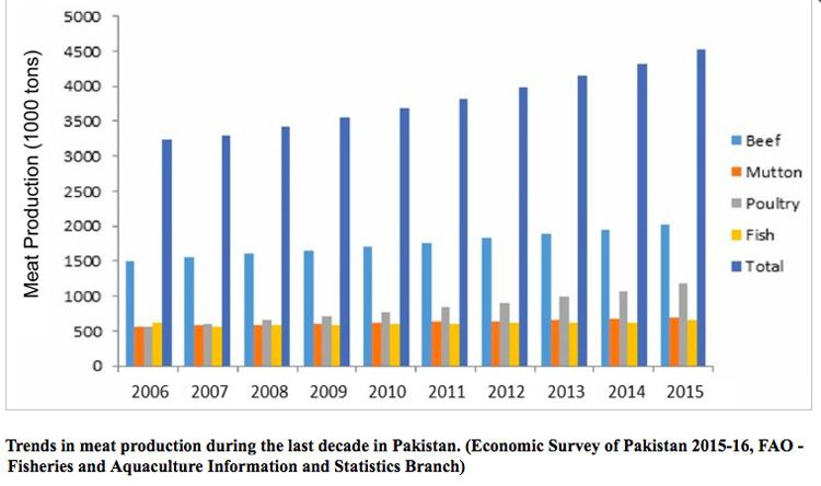 Pakistan meat production