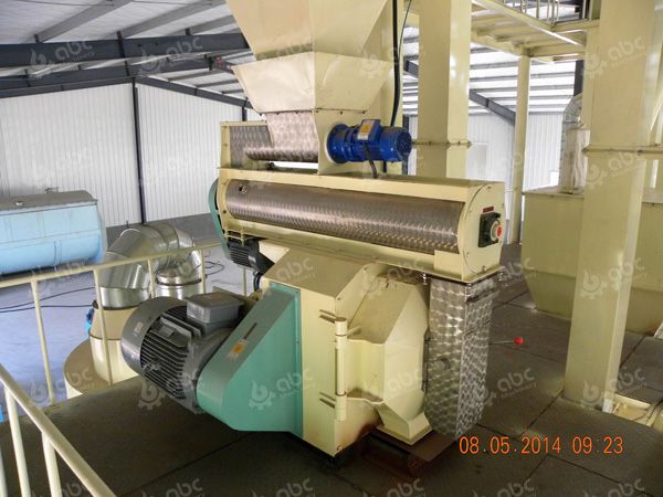 pellet mill in cattle feed pellet line