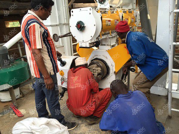 poultry feed pellet making machine