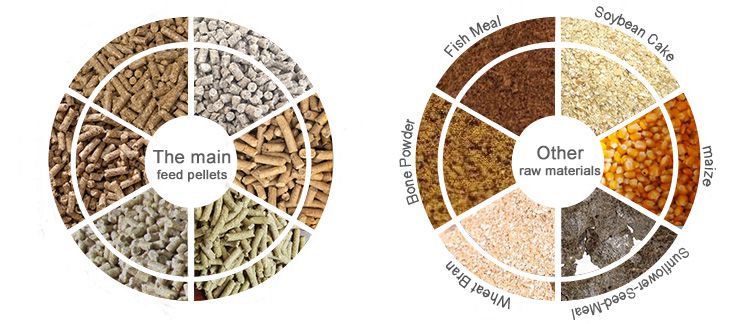 Production of various cattle feed pellets