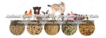 1TPH Animal Feed Production Equipment Exported to United States