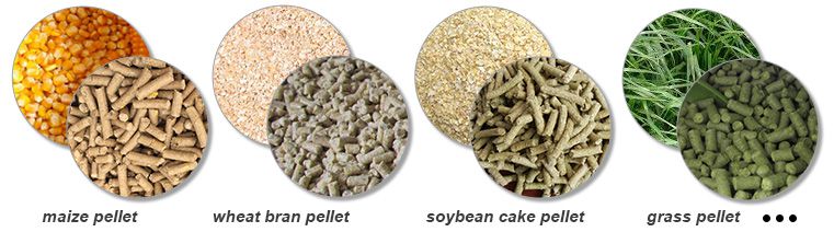 Raw Materials for Compound Feed Processing